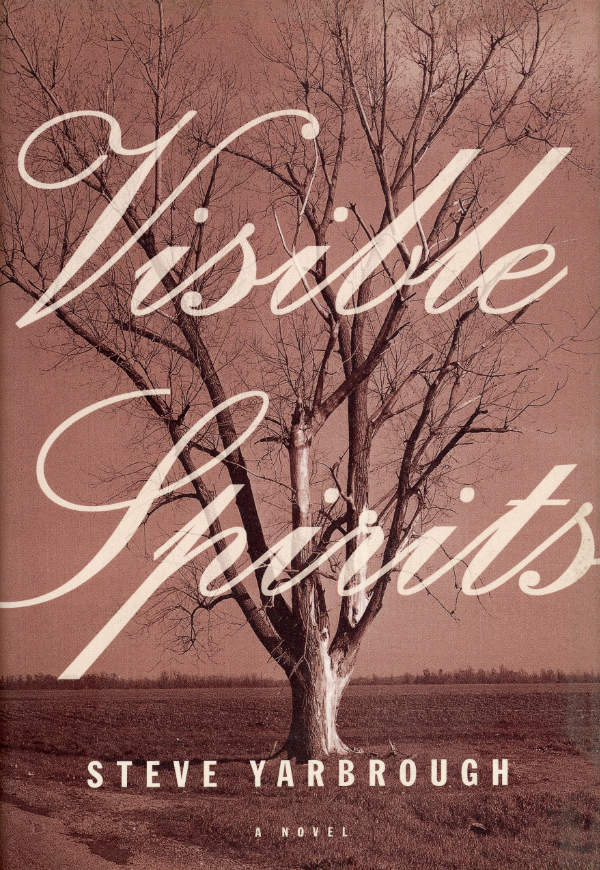 Visible Spirits Cover