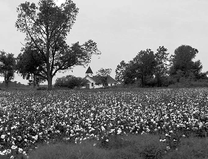 Cotton Church