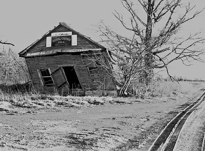 Leaning Tower of Hit Spur Plantation