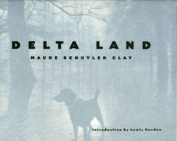 Delta Land Book Cover