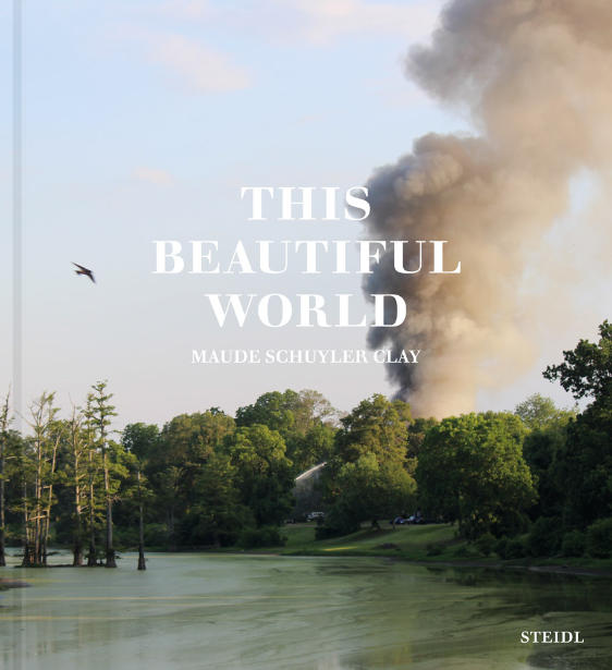 This Beautiful World Book Cover